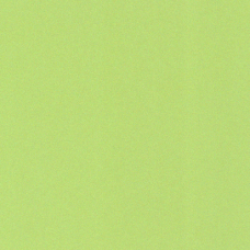 9253 Verde Maçã 120gr