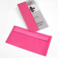 25800 Rosa Choque