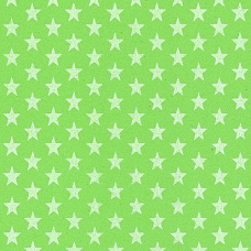 5039