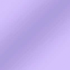 3804